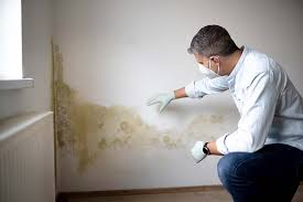 Best Water Damage & Mold Remediation  in Dilworthtown, PA